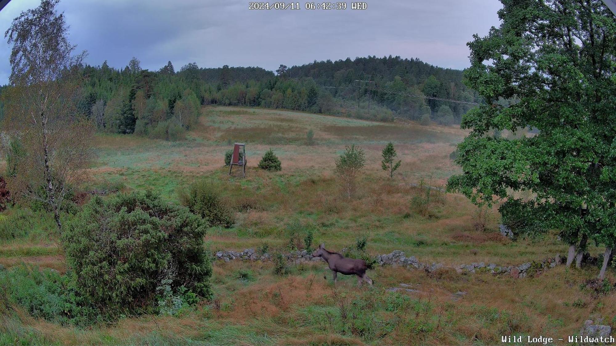 Wild Lodge Nol Екстериор снимка