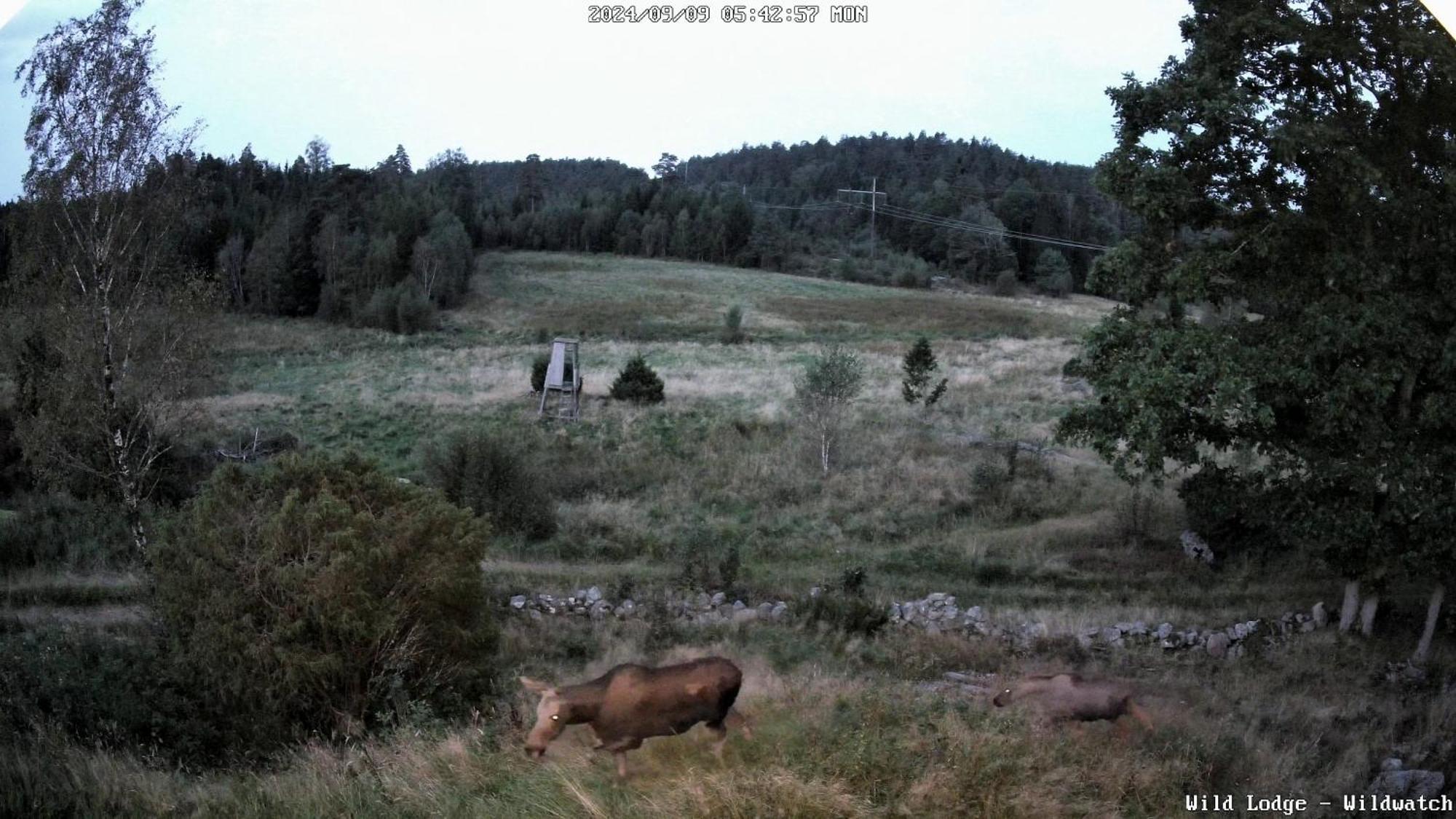 Wild Lodge Nol Екстериор снимка